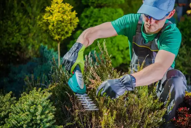 landscaping services Fox Chase
